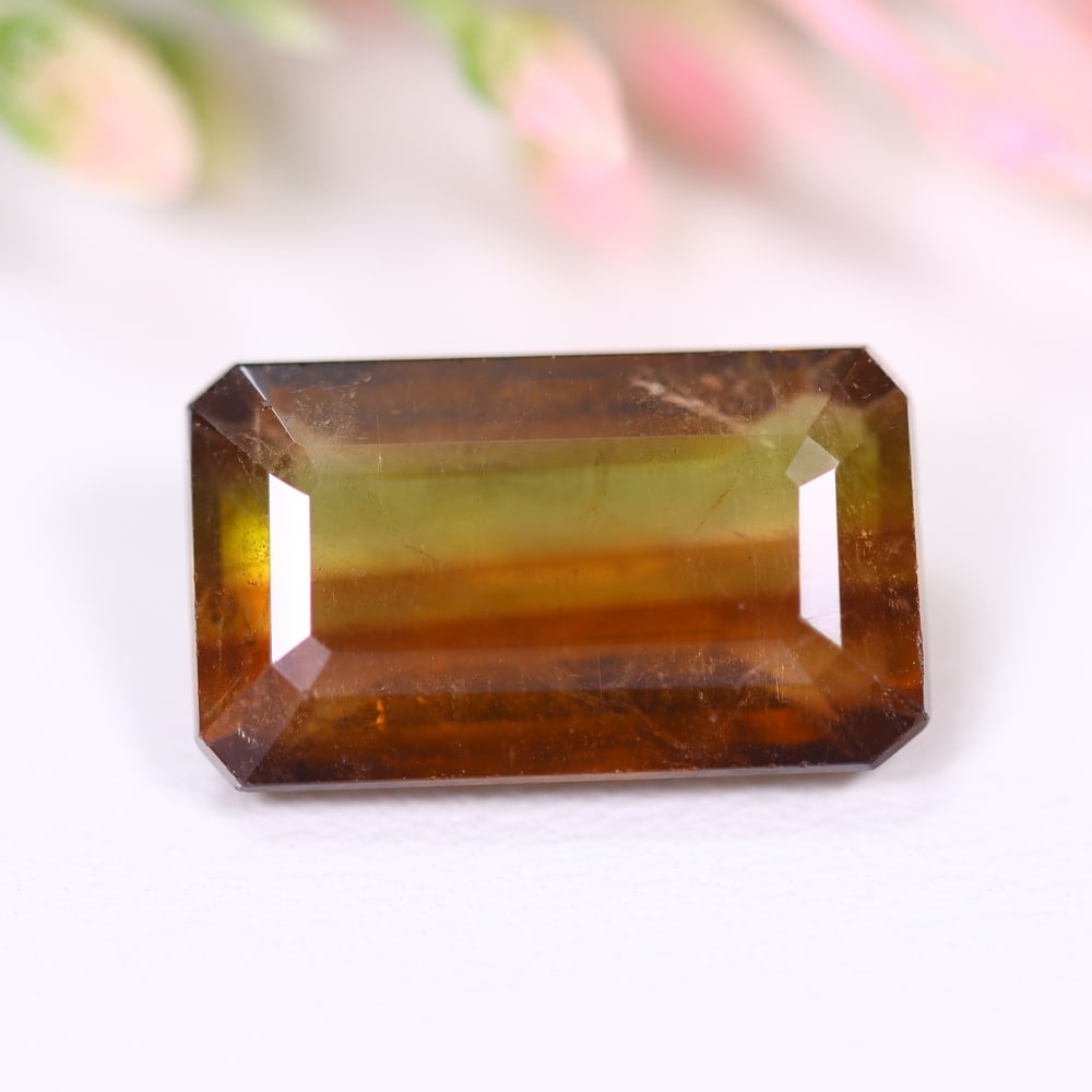 6.74cts Natural Watermelon Tourmaline - Bi-Colour Faceted Cut , 557E: Ksmith Heritage Auctioneers Subject: Natural Tourmaline Origin: Africa Carat Weight: 6.74 cts Dimension: 14.8x8.7x5.7 mm Type: Faceted, Polished
