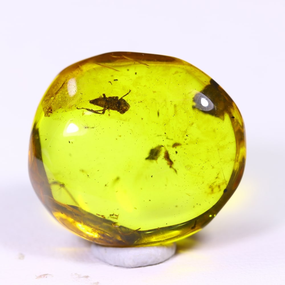7.76cts Natural Million Year Old Baltic Insect Amber, 18x16mm , 671E: Ksmith Heritage Auctioneers Subject: Natural Amber Origin: Lithuania Treatment: None Shape: Freeform