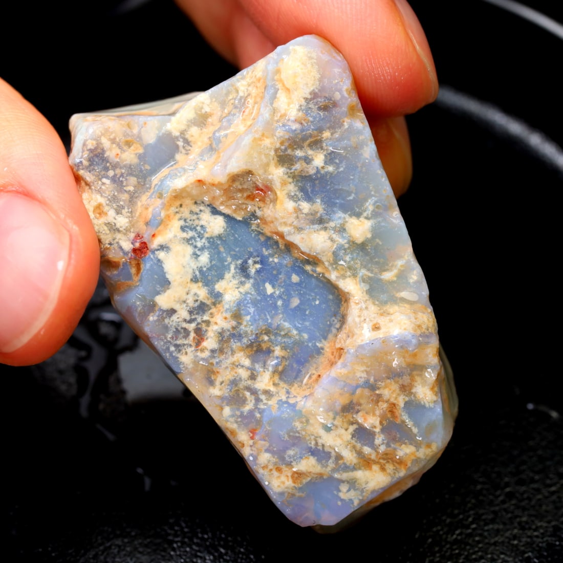 Rare Opal Fossil Lightning Ridge Fossilized Opal 91.18Ct 41.6x28.5x15mm, 507A: Ksmith Jewels Global Welcome to our auction house, today auction brought to you by Ksmith Jewels Global based in Penang, Malaysia specialize in all kinds of opal and color gemstone both in manufacturi