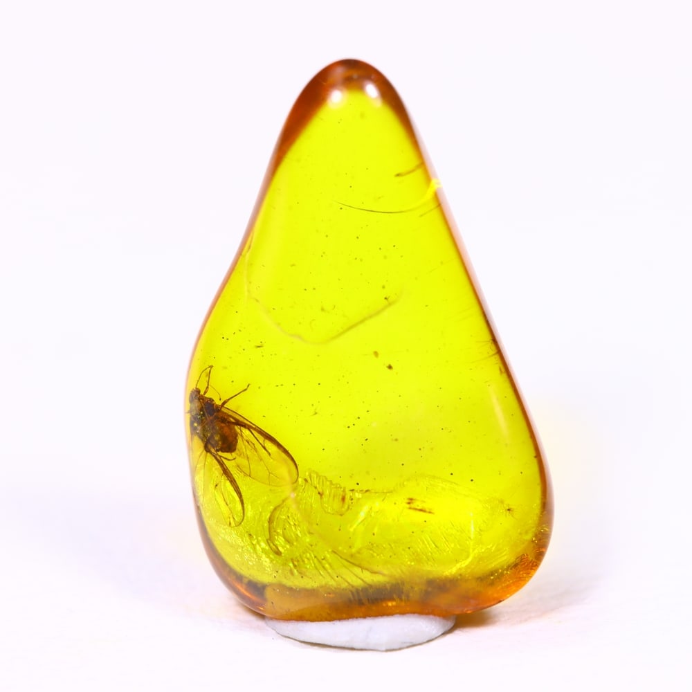 *1.23cts Natural Million Year Old Baltic Insect Amber, 14x8mm , 27C: Ksmith Heritage AuctioneersSubject: Natural Amber Origin: Lithuania Treatment: None