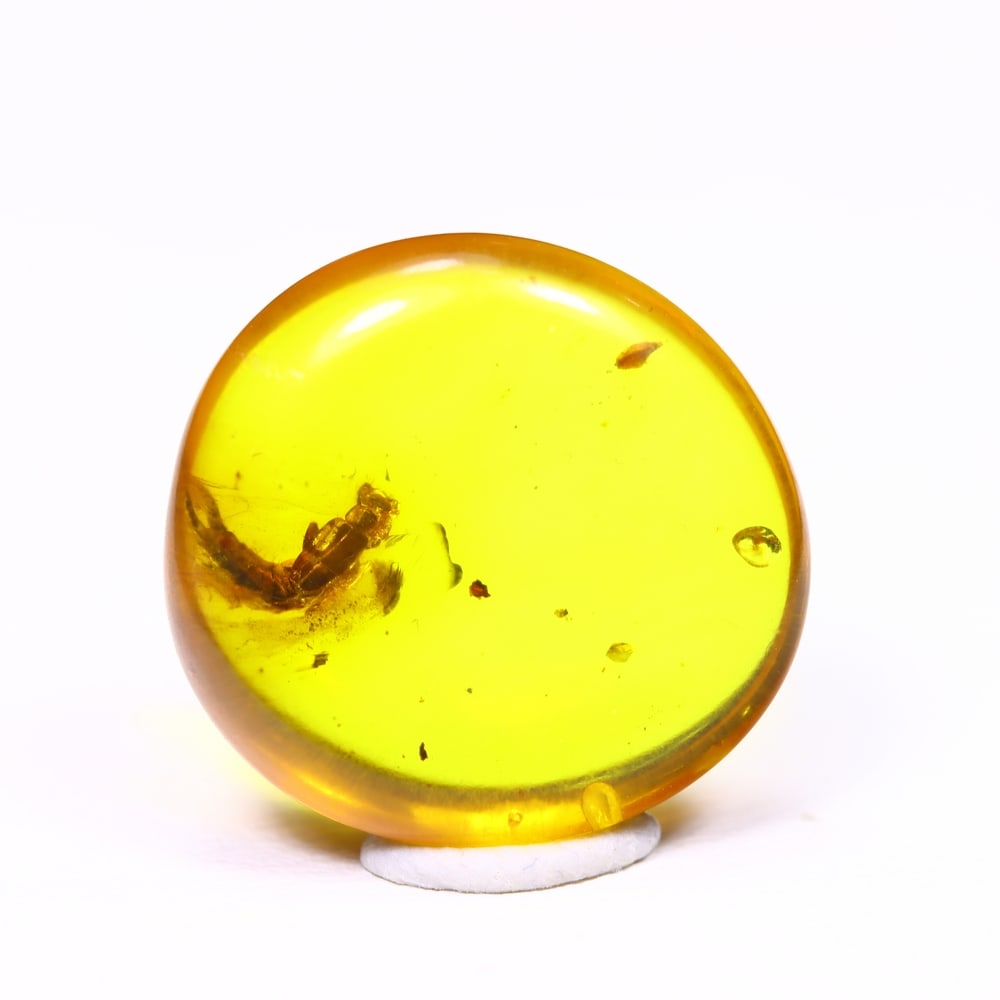 *3.70cts Natural Million Year Old Baltic Insect Amber, 15x14mm , 2C: Ksmith Heritage AuctioneersSubject: Natural Amber Origin: Lithuania Treatment: None