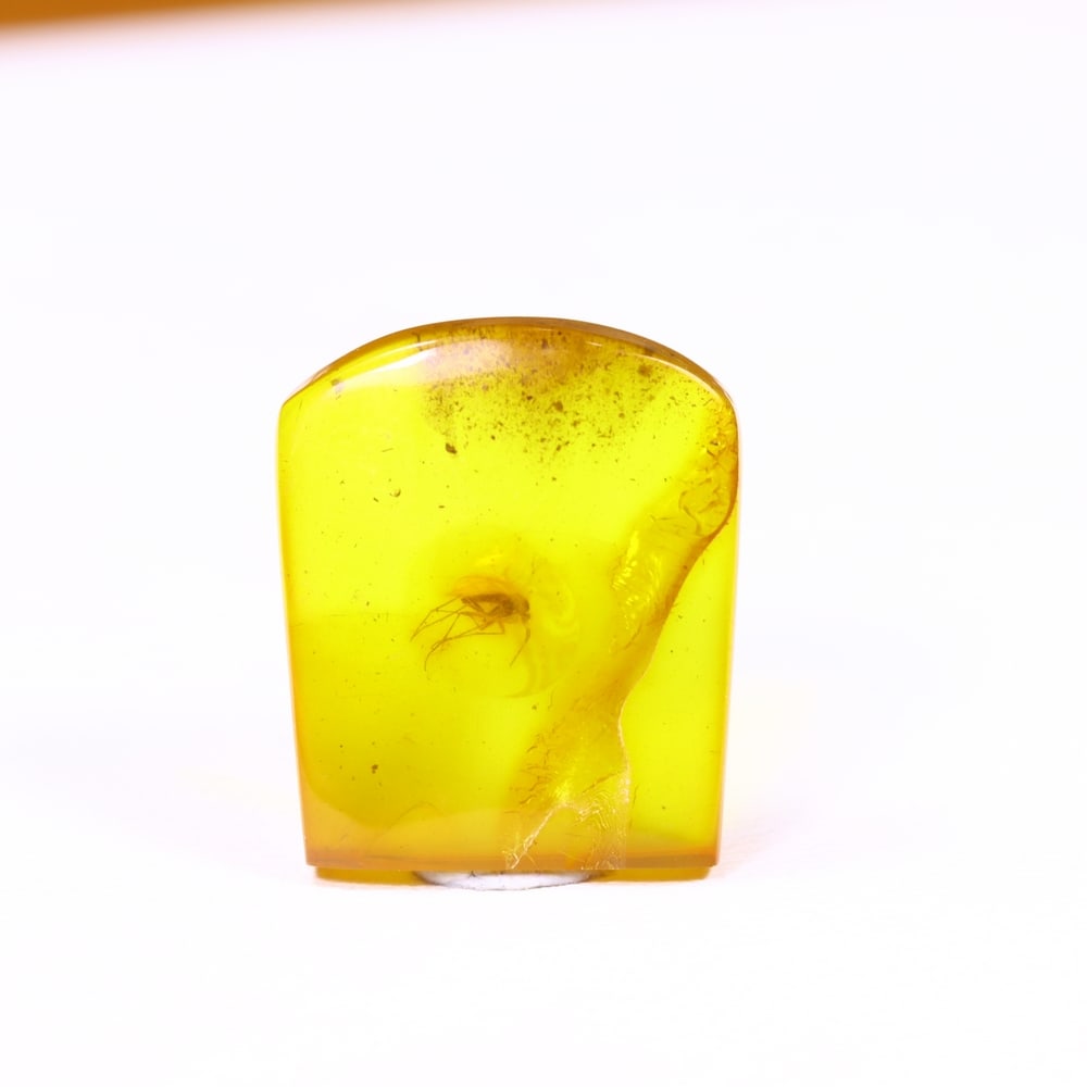 *4.39cts Natural Million Year Old Baltic Insect Amber, 15x13mm , 21C: Ksmith Heritage AuctioneersSubject: Natural Amber Origin: Lithuania Treatment: None