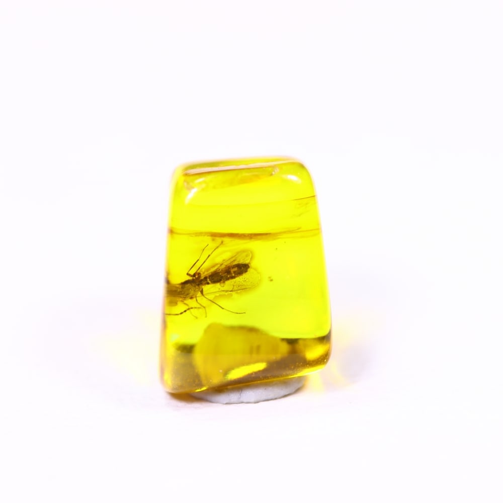 *1.14cts Natural Million Year Old Baltic Insect Amber, 7x6mm , 25C: Ksmith Heritage AuctioneersSubject: Natural Amber Origin: Lithuania Treatment: None