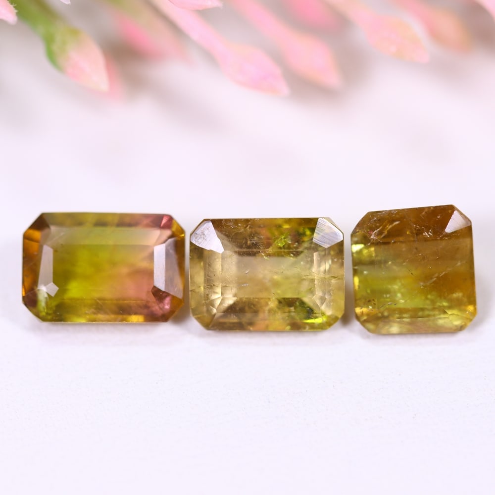 4.97cts Natural Watermelon Tourmaline Set - Bi-Colour Faceted Cut , 519E: Ksmith Heritage Auctioneers Subject: Natural Tourmaline Origin: Africa Carat Weight: 4.97 cts Dimension: 8.2x6.1x4.1 mm Type: Faceted, Polished