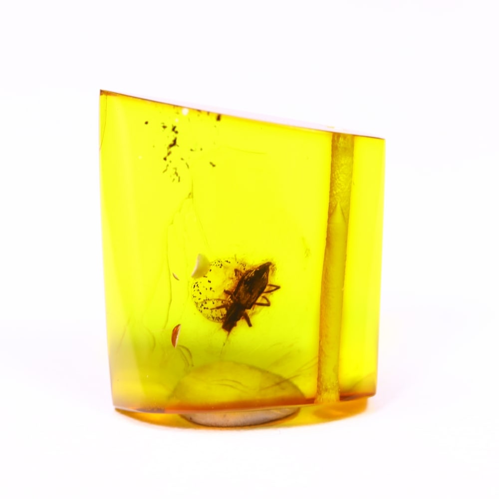 *4.75cts Natural Million Year Old Baltic Insect Amber, 16x15mm , 15C: Ksmith Heritage AuctioneersSubject: Natural Amber Origin: Lithuania Treatment: None