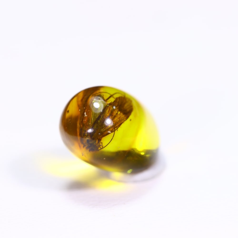 *2.64cts Natural Million Year Old Baltic Insect Amber, 13x8mm , 4C: Ksmith Heritage AuctioneersSubject: Natural Amber Origin: Lithuania Treatment: None