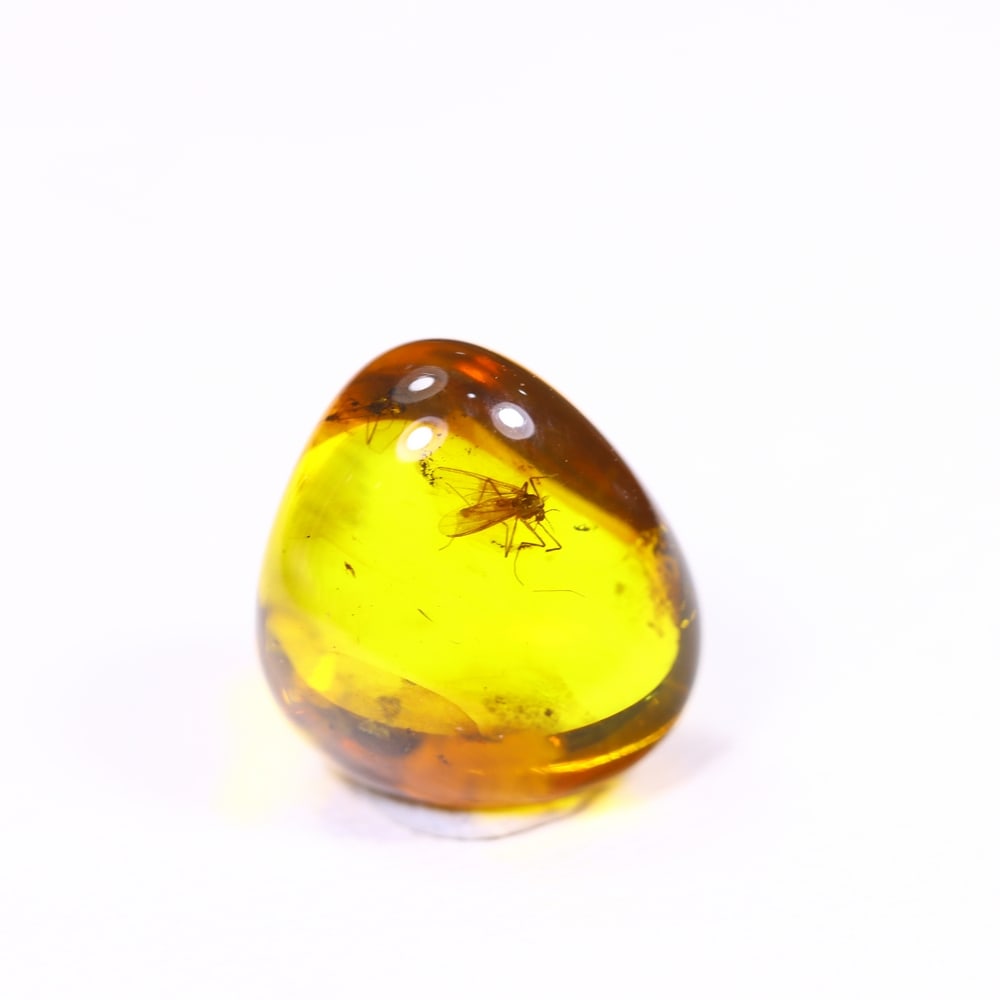 *1.72cts Natural Million Year Old Baltic Insect Amber, 10x9mm , 22C: Ksmith Heritage AuctioneersSubject: Natural Amber Origin: Lithuania Treatment: None