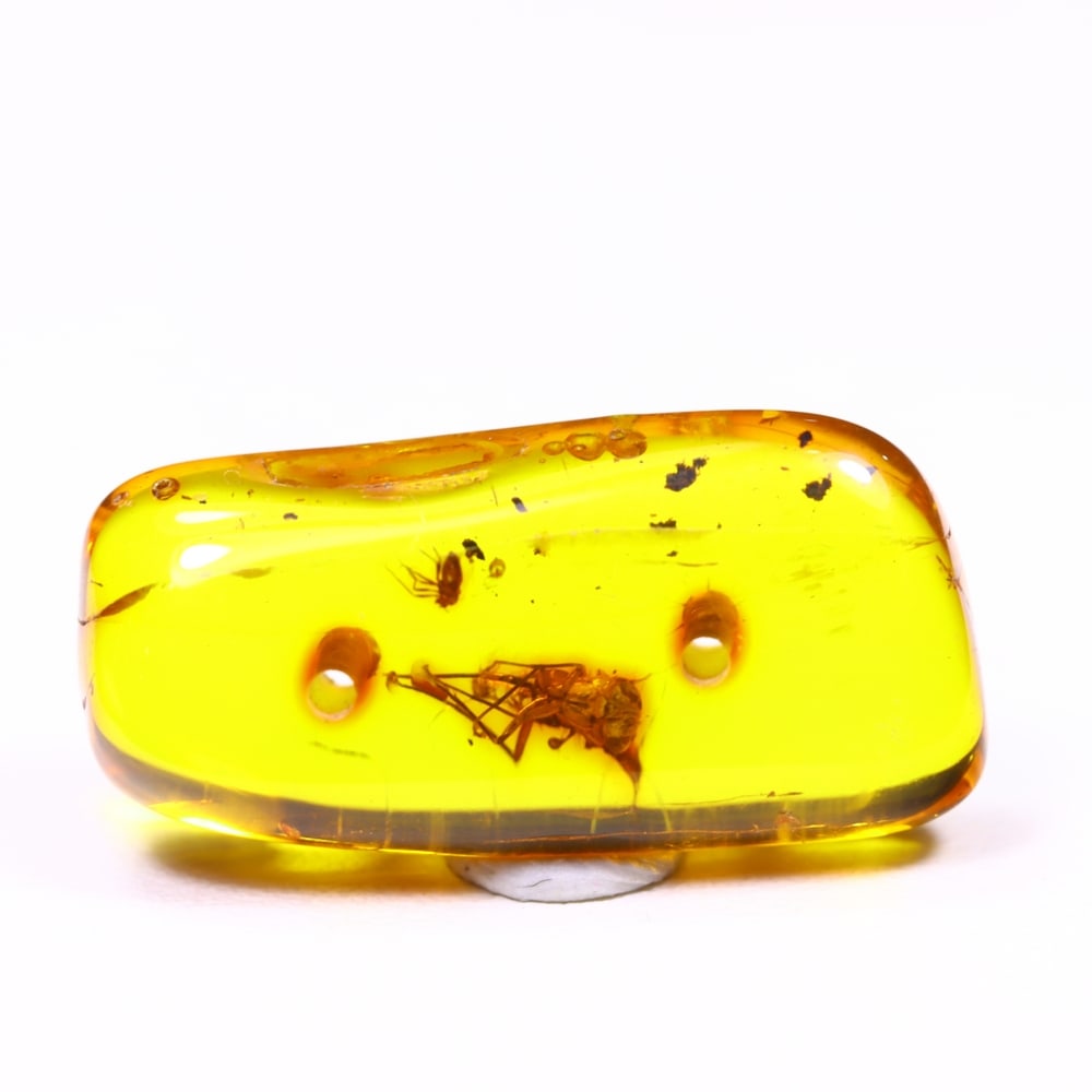 *4.68cts Natural Million Year Old Baltic Insect Amber, 21x10mm , 14C: Ksmith Heritage AuctioneersSubject: Natural Amber Origin: Lithuania Treatment: None