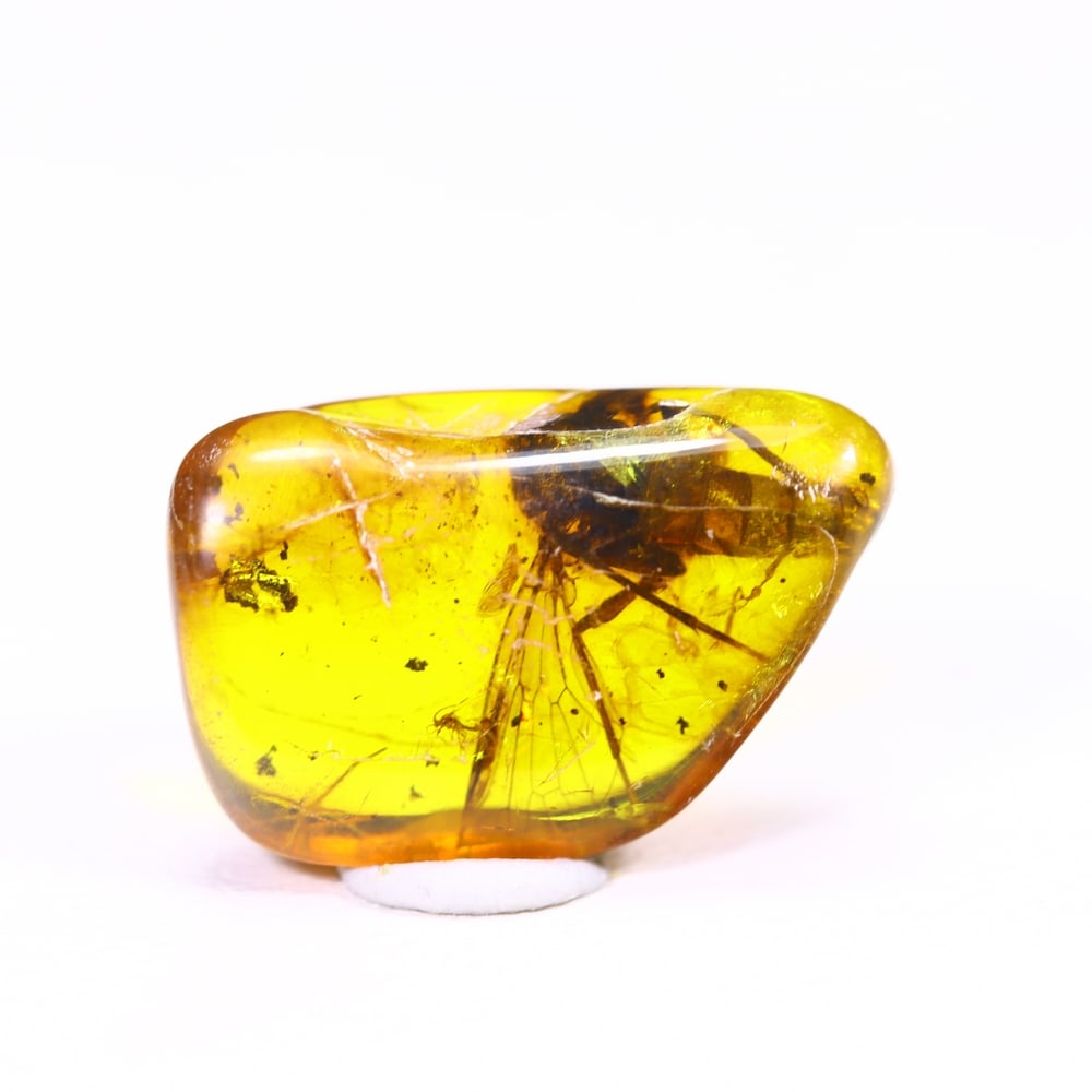 *2.49cts Natural Million Year Old Baltic Insect Amber, 16x10mm , 9C: Ksmith Heritage AuctioneersSubject: Natural Amber Origin: Lithuania Treatment: None