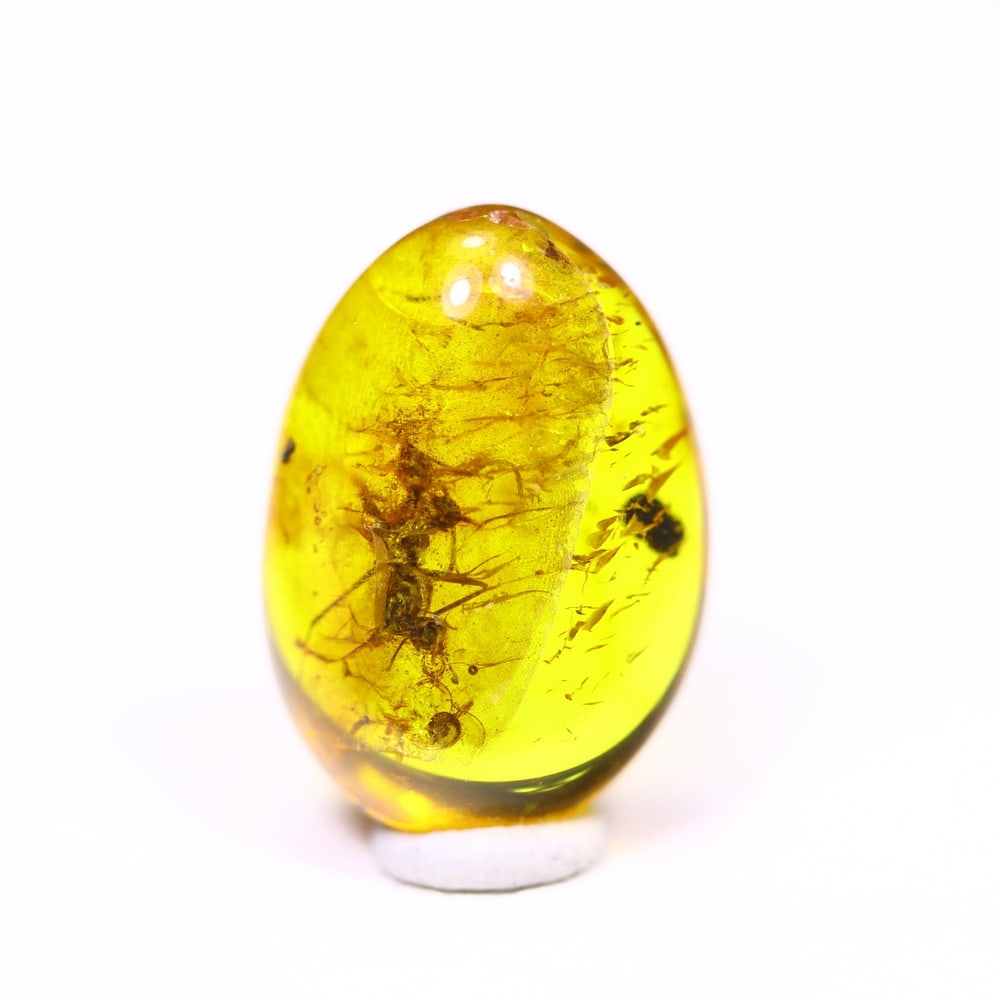 *3.11cts Natural Million Year Old Baltic Insect Amber, 15x10mm , 1C: Ksmith Heritage AuctioneersSubject: Natural Amber Origin: Lithuania Treatment: None