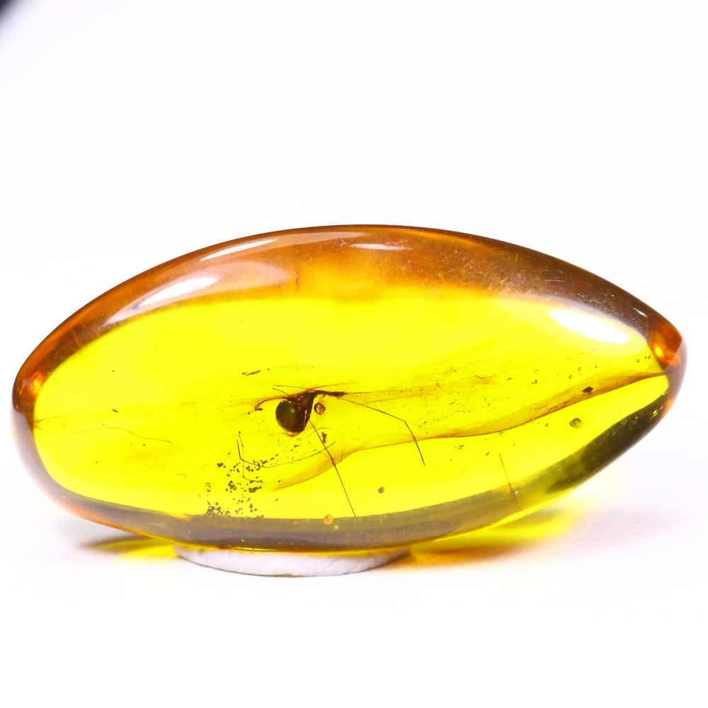 *13.57cts Natural Million Year Old Baltic Insect Amber, 33x16mm , 29C (1 of 2)