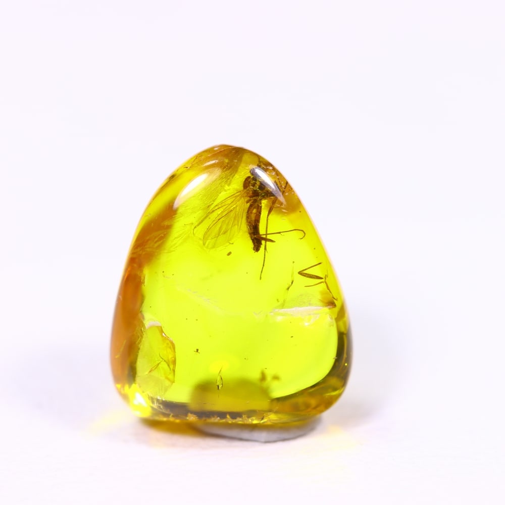 *1.15cts Natural Million Year Old Baltic Insect Amber, 9x8mm , 26C: Ksmith Heritage AuctioneersSubject: Natural Amber Origin: Lithuania Treatment: None