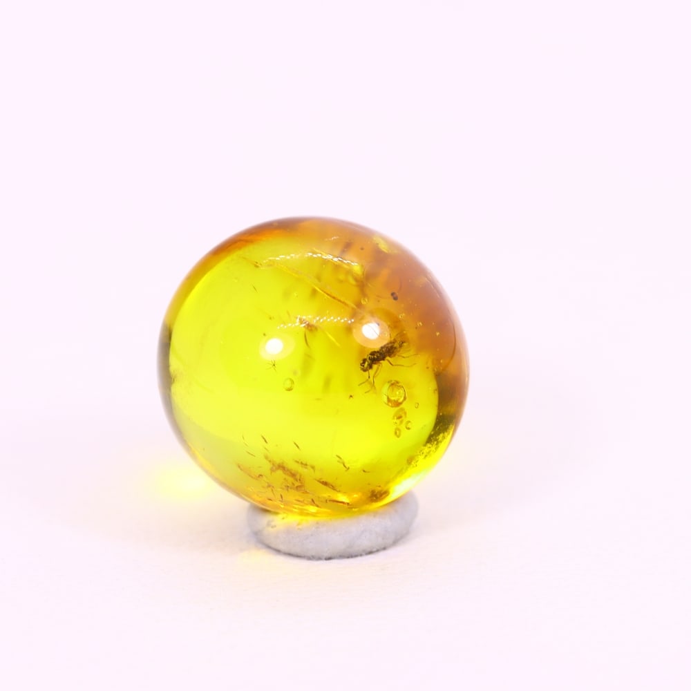 *2.50Ct Natural Million Year Old Baltic Insect Amber, 10x10mm , 230C: Ksmith Heritage AuctioneersSubject: Natural Amber Origin: Lithuania Treatment: None