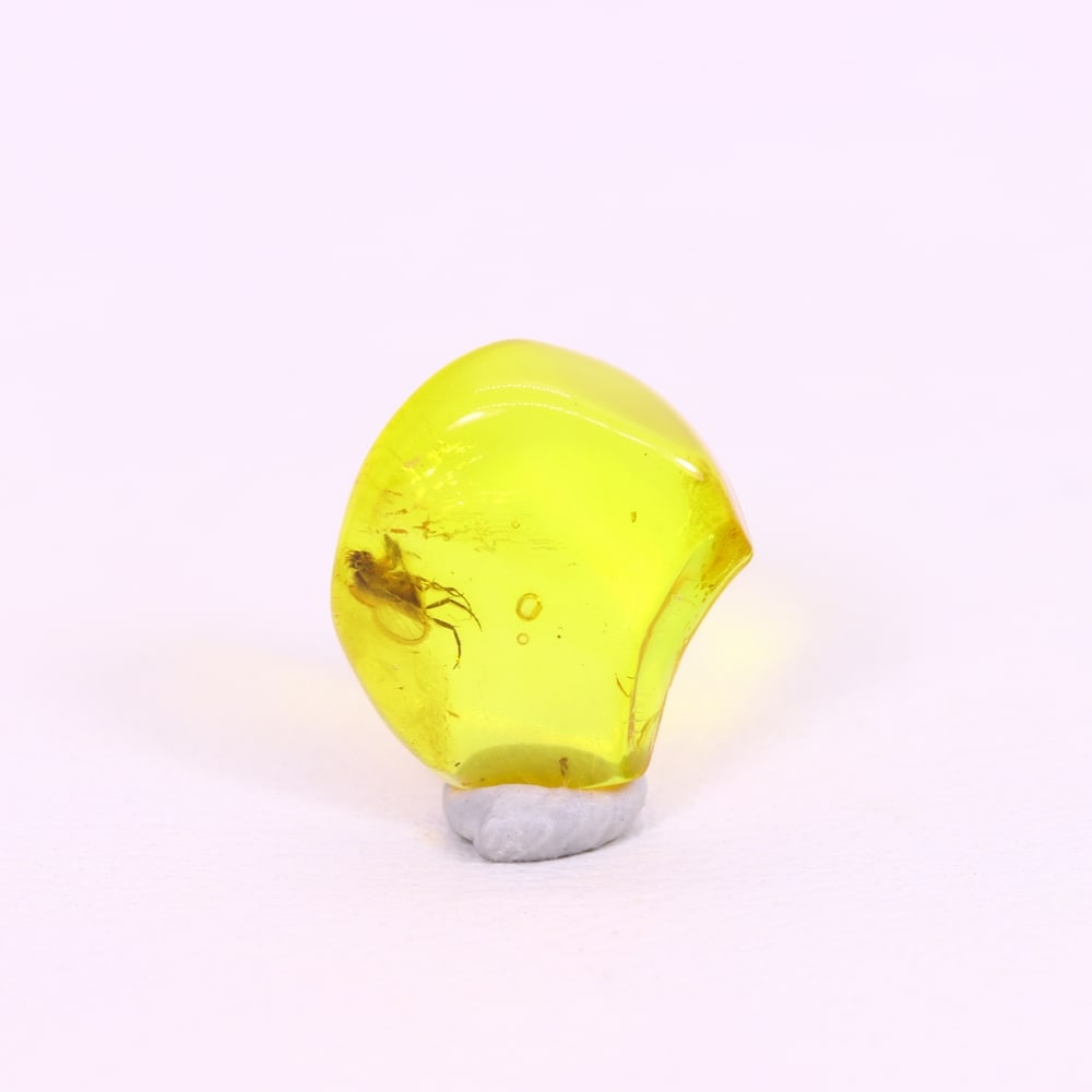 *1.11Ct Natural Million Year Old Baltic Insect Amber, 10x9mm , 221C (1 of 2)