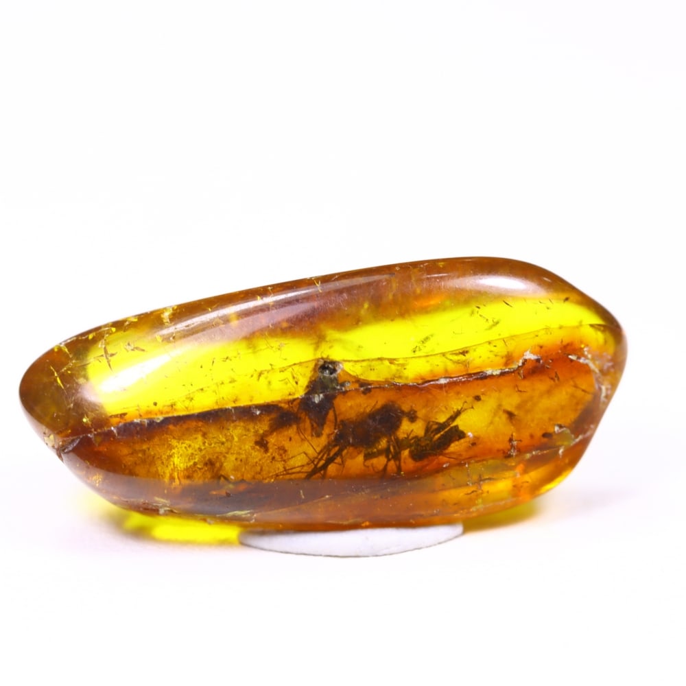 *6.23cts Natural Million Year Old Baltic Insect Amber, 25x11mm , 19C: Ksmith Heritage AuctioneersSubject: Natural Amber Origin: Lithuania Treatment: None