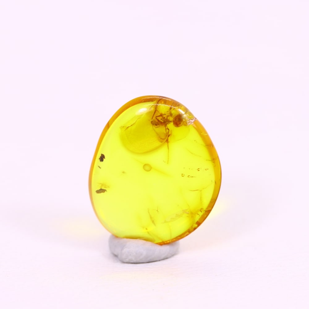 *0.95Ct Natural Million Year Old Baltic Insect Amber, 11x9mm , 222C (1 of 2)