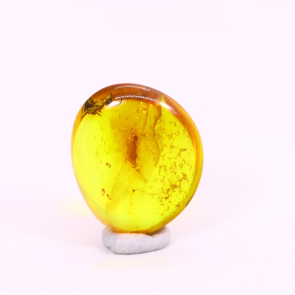 *1.71Ct Natural Million Year Old Baltic Insect Amber, 12x10mm , 223C (1 of 2)
