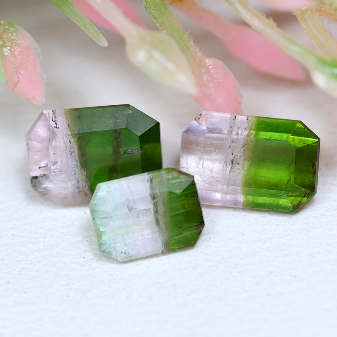 Tourmaline 2.08Ct Emerald Cut Natural Bi-Color Afghanistan Tourmaline In Lot, 993MZ: Ksmith Jewels Global Welcome to our auction house, today auction brought to you by Ksmith Jewels Global based in Penang, Malaysia specialize in all kinds of opal and color gemstone both in manufacturi