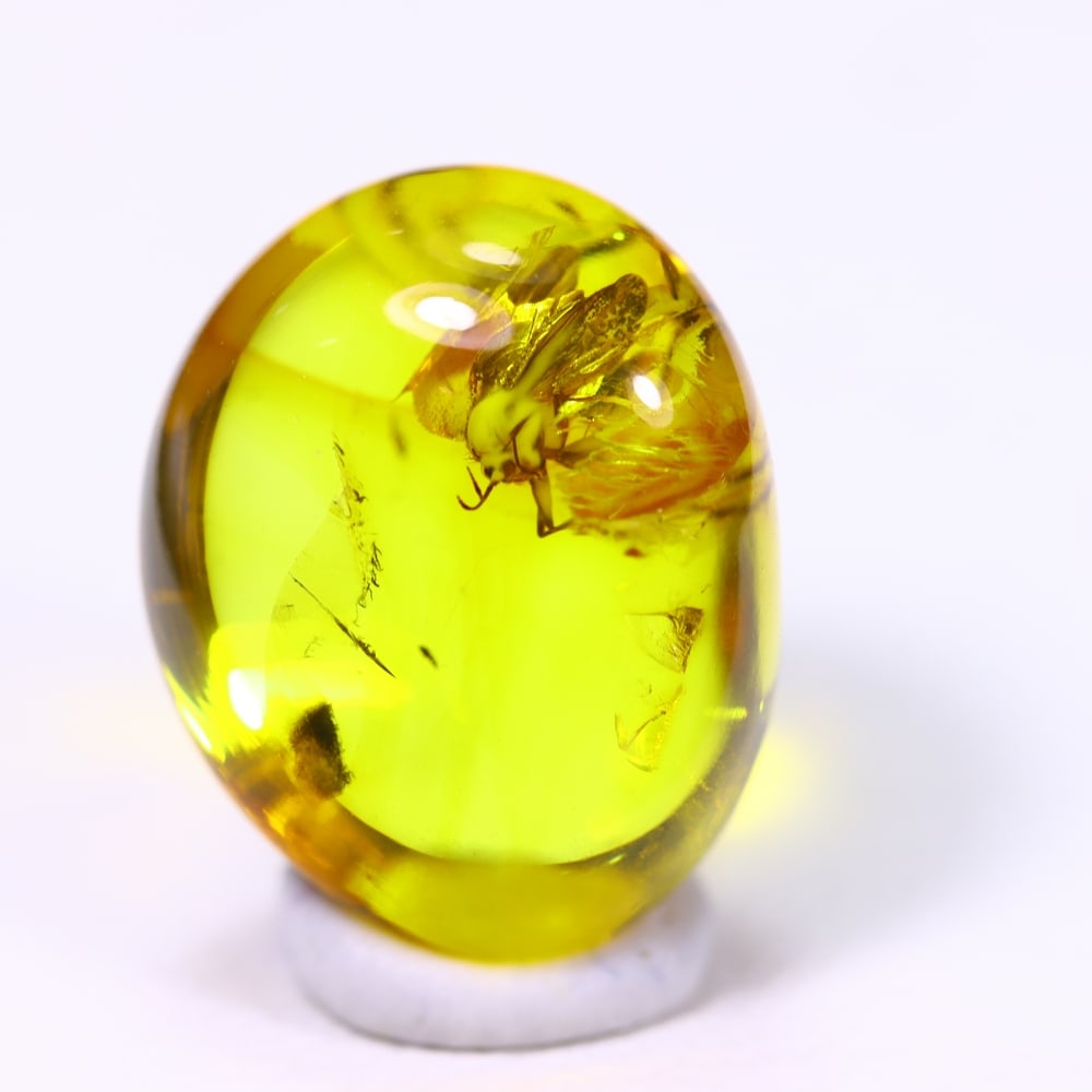 2.81cts Natural Million Year Old Baltic Insect Amber, 12x9mm, 1232B: Ksmith Heritage Auctioneers Subject: Natural Amber Origin: Lithuania Treatment: None Shape: Freeform