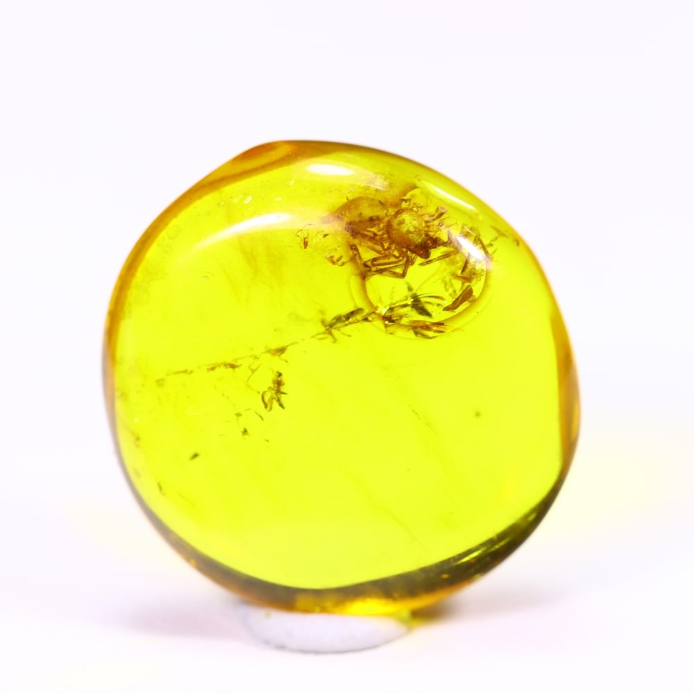 *4.92cts Natural Million Year Old Baltic Insect Amber, 16x15mm , 8C (1 of 2)