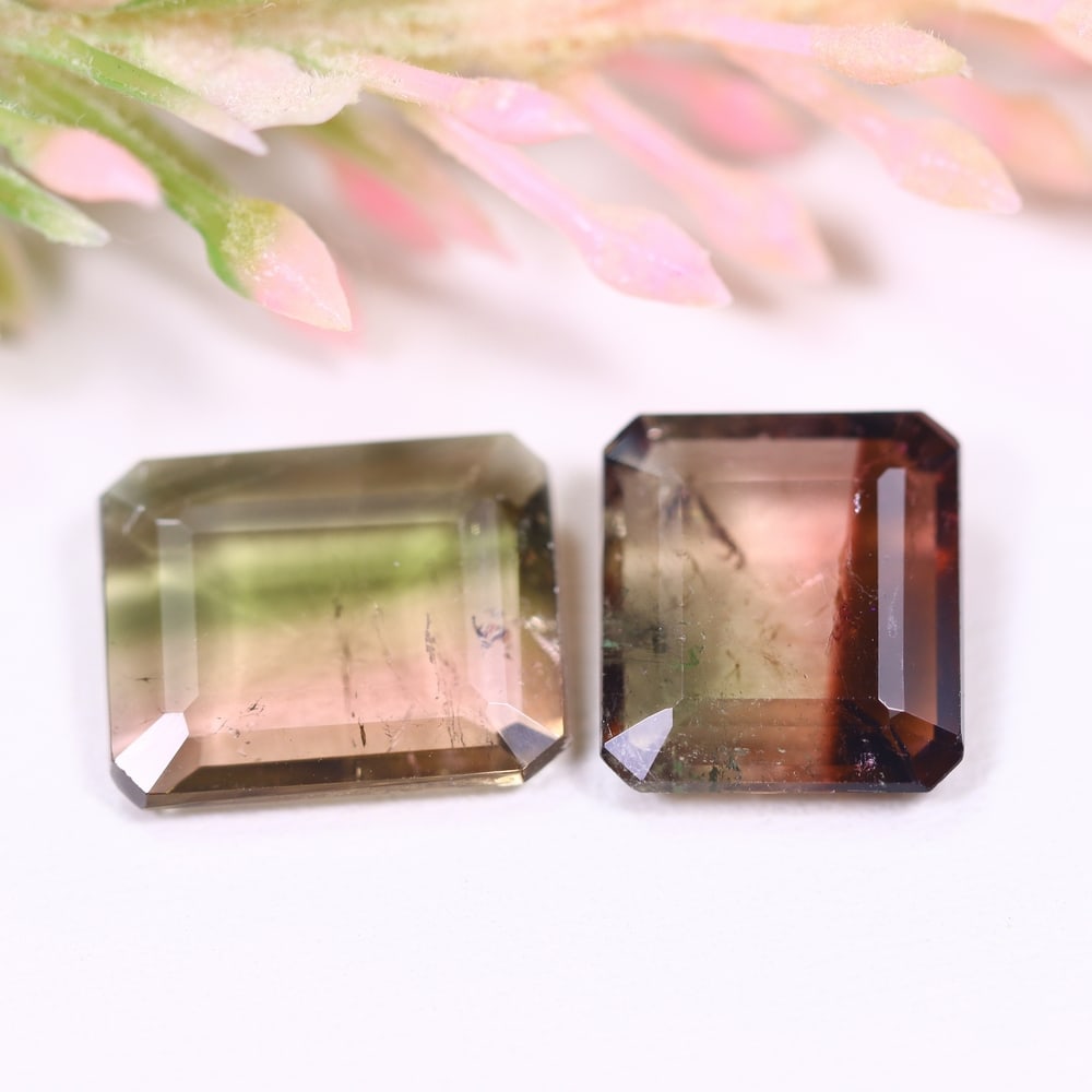 6.30cts Natural Watermelon Tourmaline Set - Bi-Colour Faceted Cut , 1041E: Ksmith Heritage Auctioneers Subject: Natural Tourmaline Origin: Africa Carat Weight: 6.30 cts Dimension: 9.1x10.x1x3.6 mm Type: Faceted, Polished