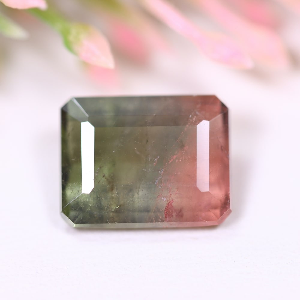 5.17cts Natural Watermelon Tourmaline - Bi-Colour Faceted Cut , 321E: Ksmith Heritage Auctioneers Subject: Natural Tourmaline Origin: Africa Carat Weight: 5.17 cts Dimension: 11.9x9.2x5 mm Type: Faceted, Polished