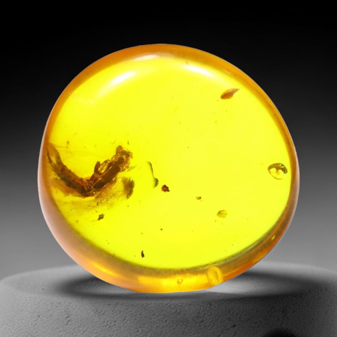 *3.70cts Natural Million Year Old Baltic Insect Amber, 15x14mm , 2C: Ksmith Heritage AuctioneersSubject: Natural Amber Origin: Lithuania Treatment: None