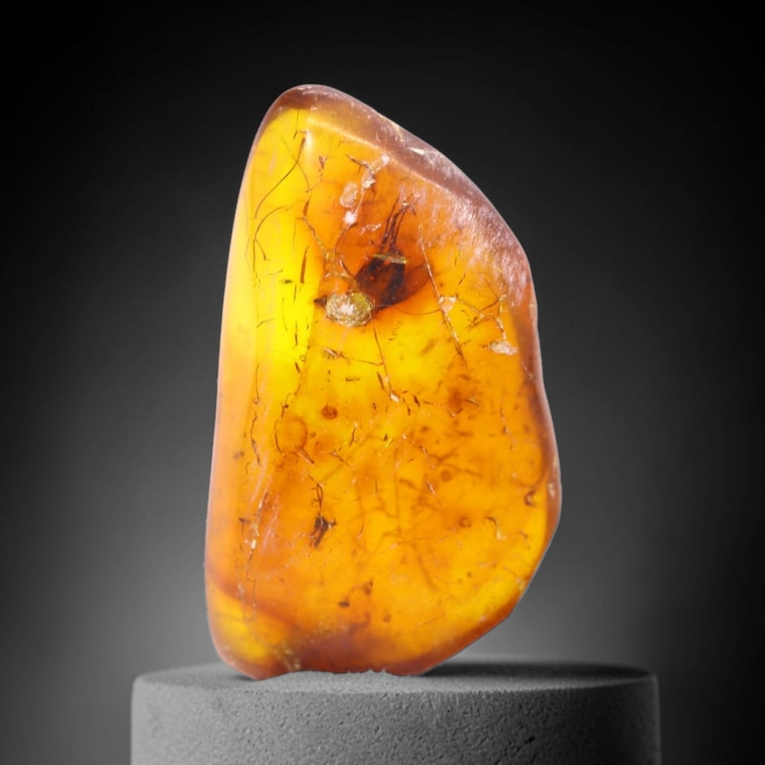 *2.18Ct Natural Million Year Old Baltic Insect Amber, 16x10mm , 226C (1 of 2)
