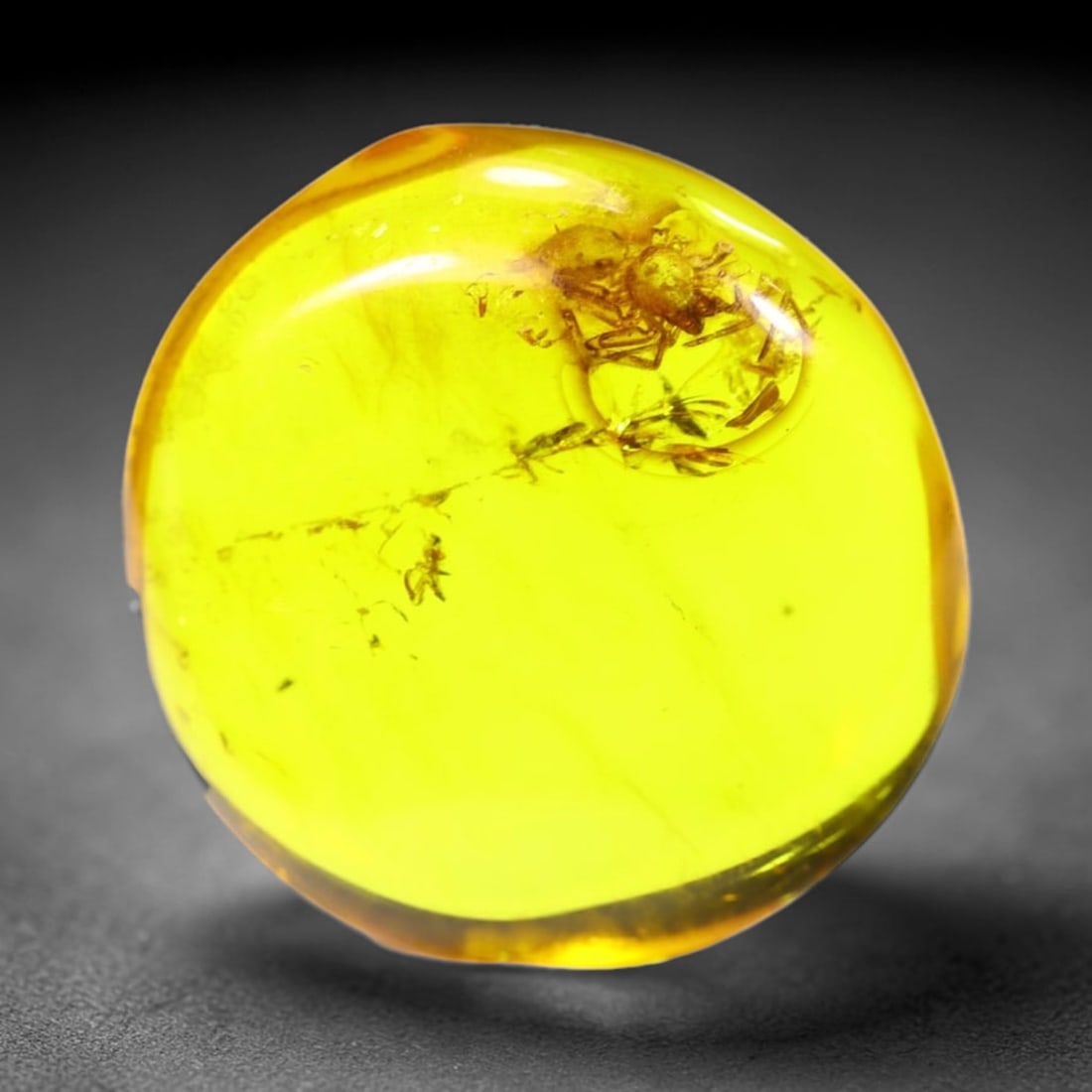 *4.92cts Natural Million Year Old Baltic Insect Amber, 16x15mm , 8C (1 of 2)
