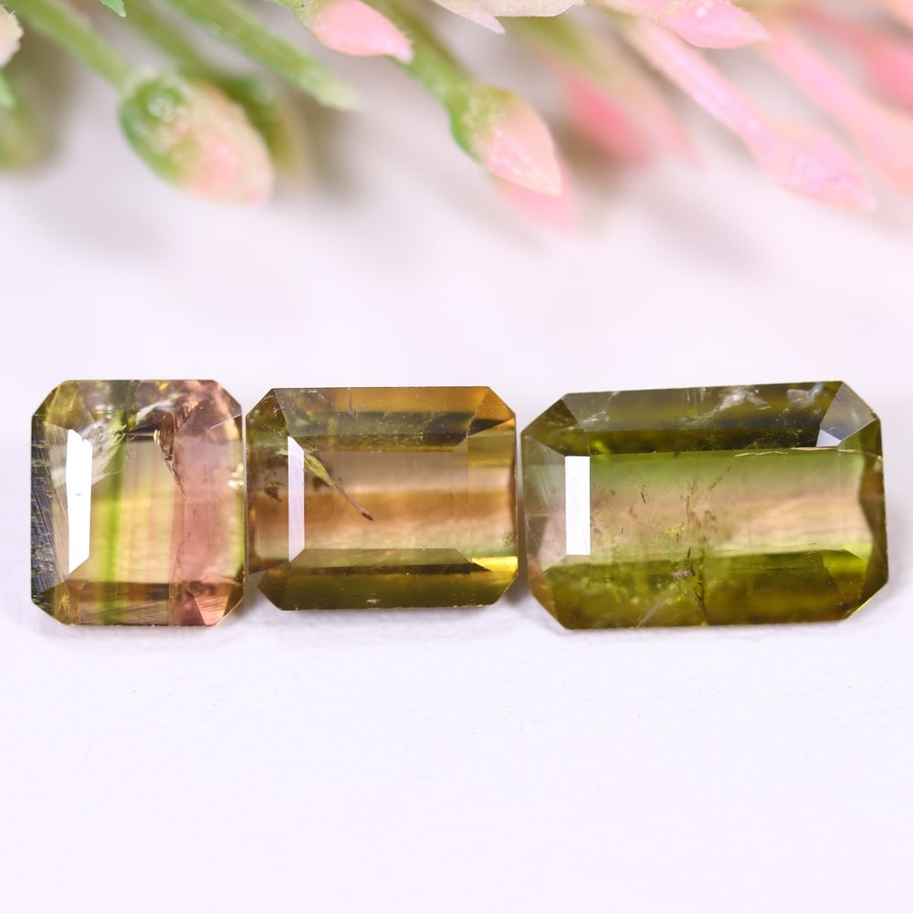 6.53cts Natural Watermelon Tourmaline Set - Bi-Colour Faceted Cut , 670E: Ksmith Heritage Auctioneers Subject: Natural Tourmaline Origin: Africa Carat Weight: 6.53 cts Dimension: 8.2x6.8x4.7 mm Type: Faceted, Polished