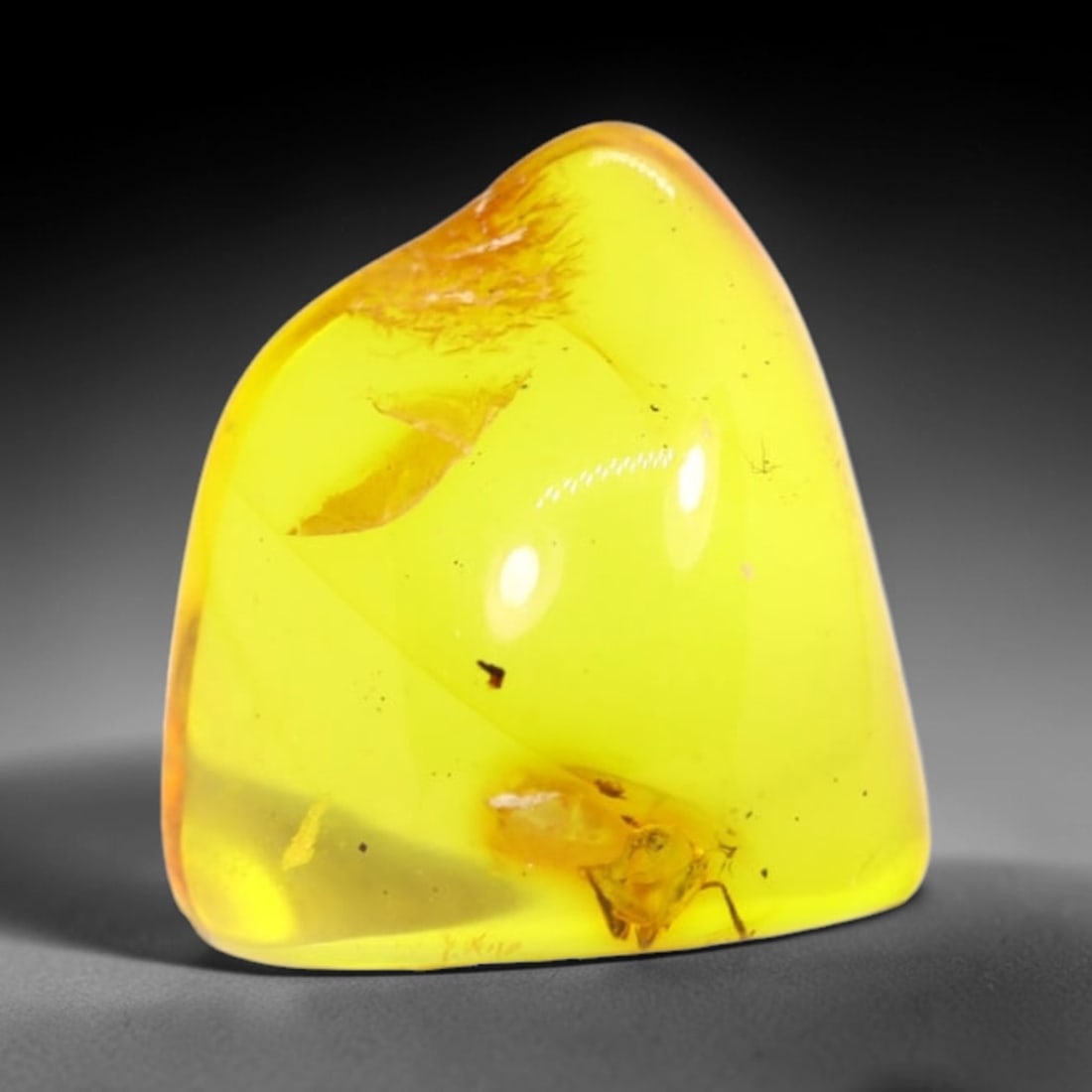 *1.93Ct Natural Million Year Old Baltic Insect Amber, 11x10mm , 227C (1 of 3)