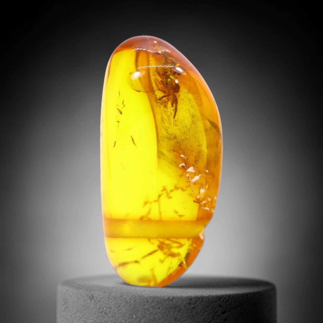 *2.14Ct Natural Million Year Old Baltic Insect Amber, 16x8mm , 224C (1 of 2)