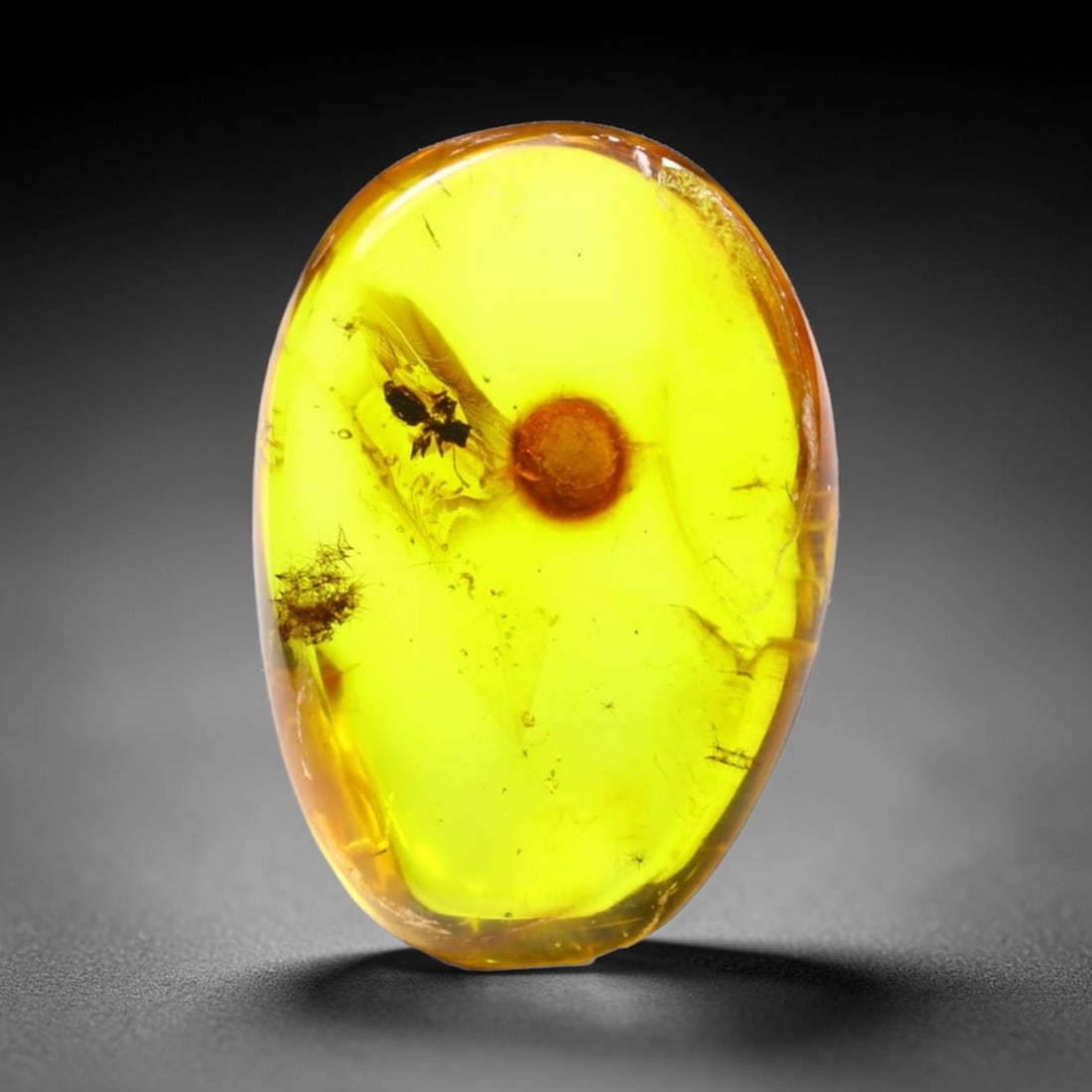 *7.25cts Natural Million Year Old Baltic Insect Amber, 22x15mm , 30C: Ksmith Heritage AuctioneersSubject: Natural Amber Origin: Lithuania Treatment: None