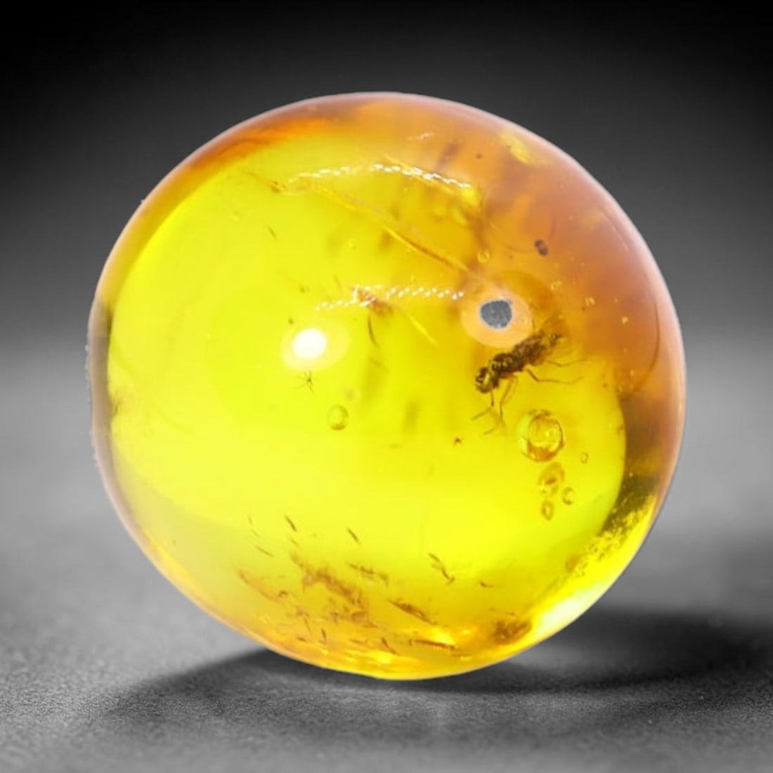 *2.50Ct Natural Million Year Old Baltic Insect Amber, 10x10mm , 230C: Ksmith Heritage AuctioneersSubject: Natural Amber Origin: Lithuania Treatment: None