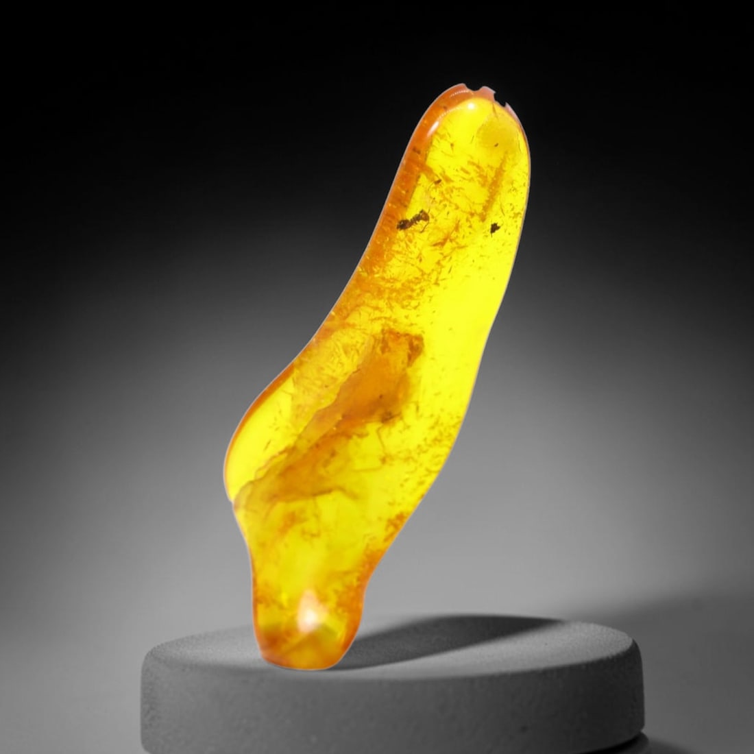 *4.00Ct Natural Million Year Old Baltic Insect Amber, 13x11mm , 219C (1 of 3)