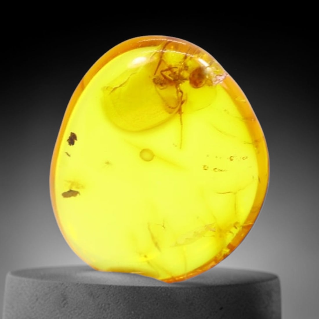 *0.95Ct Natural Million Year Old Baltic Insect Amber, 11x9mm , 222C: Ksmith Heritage AuctioneersSubject: Natural Amber Origin: Lithuania Treatment: None