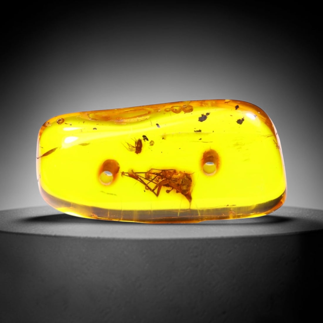 *4.68cts Natural Million Year Old Baltic Insect Amber, 21x10mm , 14C (1 of 3)