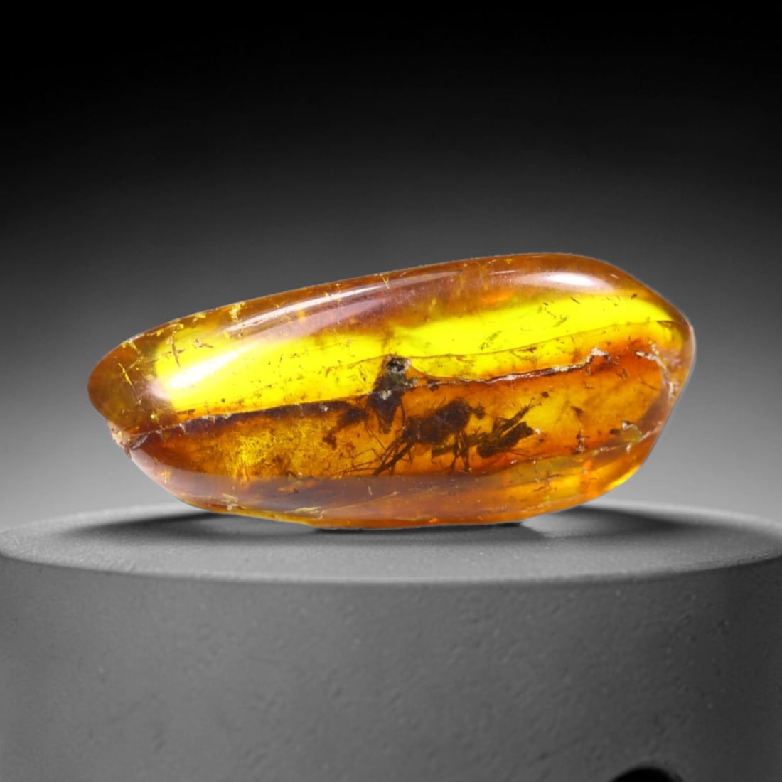*6.23cts Natural Million Year Old Baltic Insect Amber, 25x11mm , 19C (1 of 2)