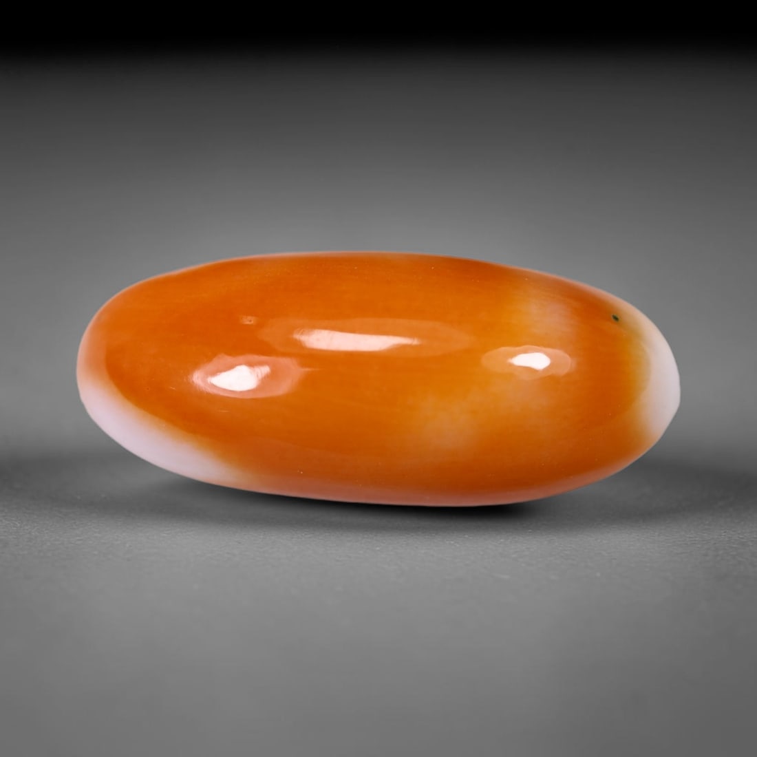 9.08cts Mediterranean Coral - Cabochon Polished , 864E: Ksmith Heritage Auctioneers Subject: Natural Coral Origin: Japan Carat Weight: 9.08cts Dimension: 20.8x8.6x6.3 mm Treatment: Unheated Type: Cabochon, Polished