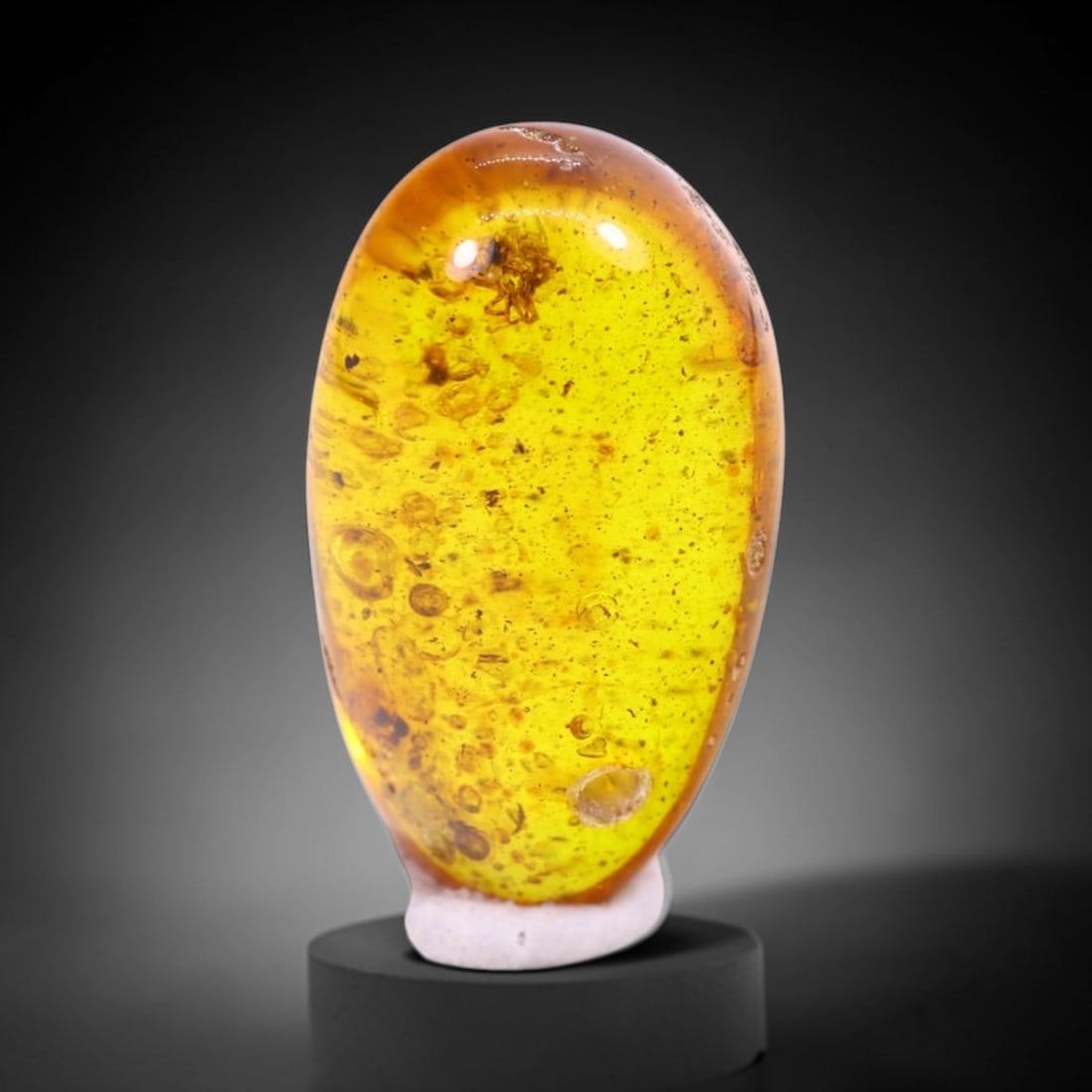 *1.99Ct Natural Million Year Old Baltic Insect Amber, 14x8mm , 225C (1 of 2)
