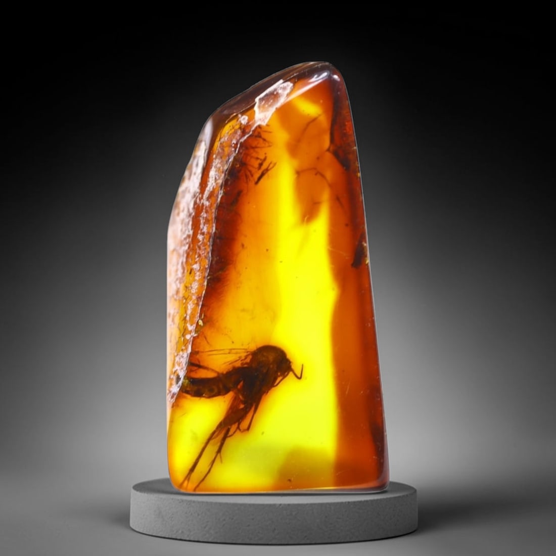 *6.83cts Natural Million Year Old Baltic Insect Amber, 21x11mm , 16C: Ksmith Heritage AuctioneersSubject: Natural Amber Origin: Lithuania Treatment: None