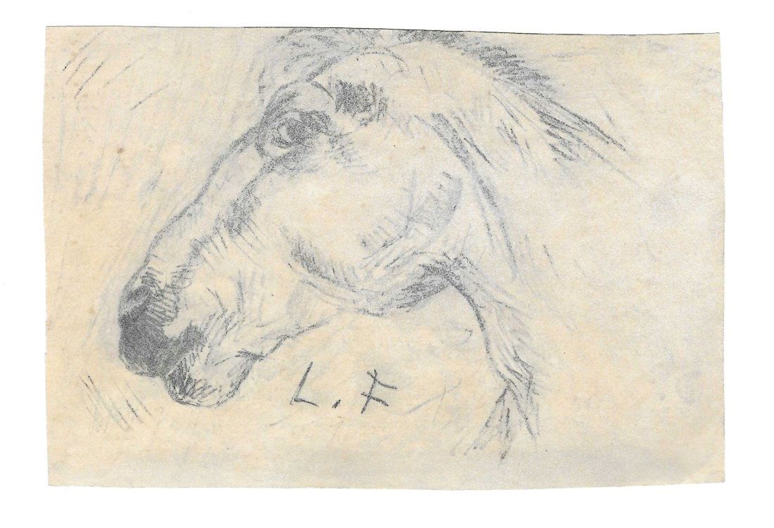 Lucian Freud (British, 1922-2011) Untitled, drawing on paper (Horse head): Lucian Freud (British, 1922-2011)Drawing on paper, Horse head, undated, signed in pencil. Gifted by the autor to the present owner.Dimensions: 12 x 17,5cm (Centimeters - Area drawing unframed)
