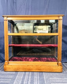 An Antique Mid-Sized Oak Two-Tier Showcase, 1900s