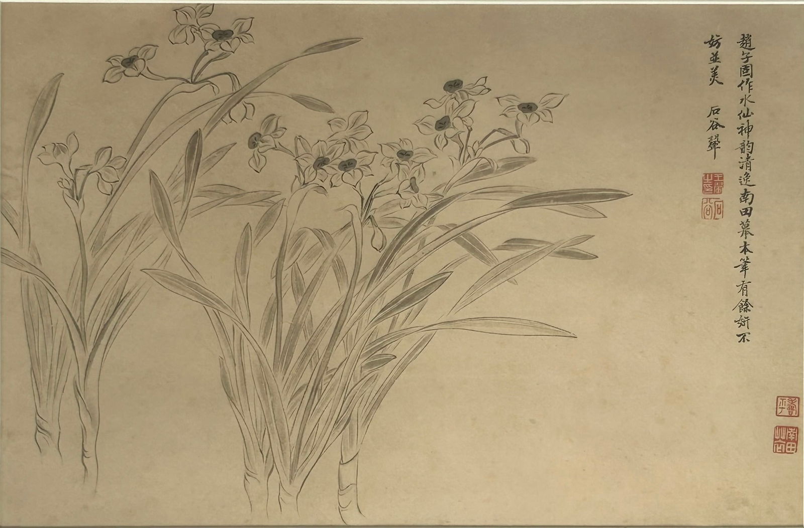 A Chinese Painting of Narcissus, after Wang Hui: 16.3/4 in. x 11 in. (sight), 24 in. x 17 in. (frame).