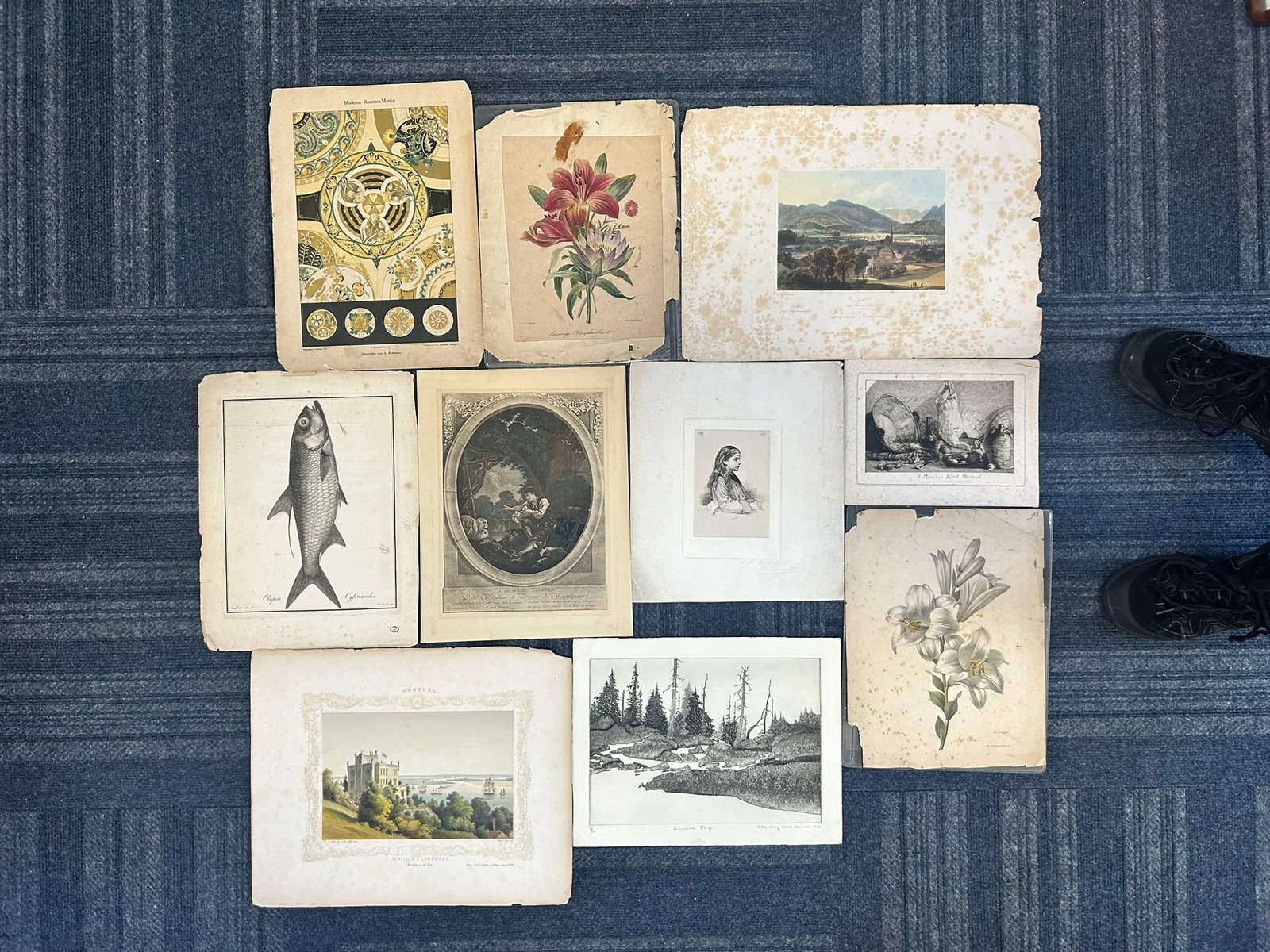 A Group of Ten Antique Prints (1 of 11)