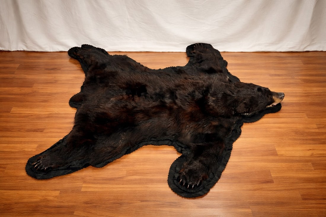 A Brown Bear Rug (1 of 11)