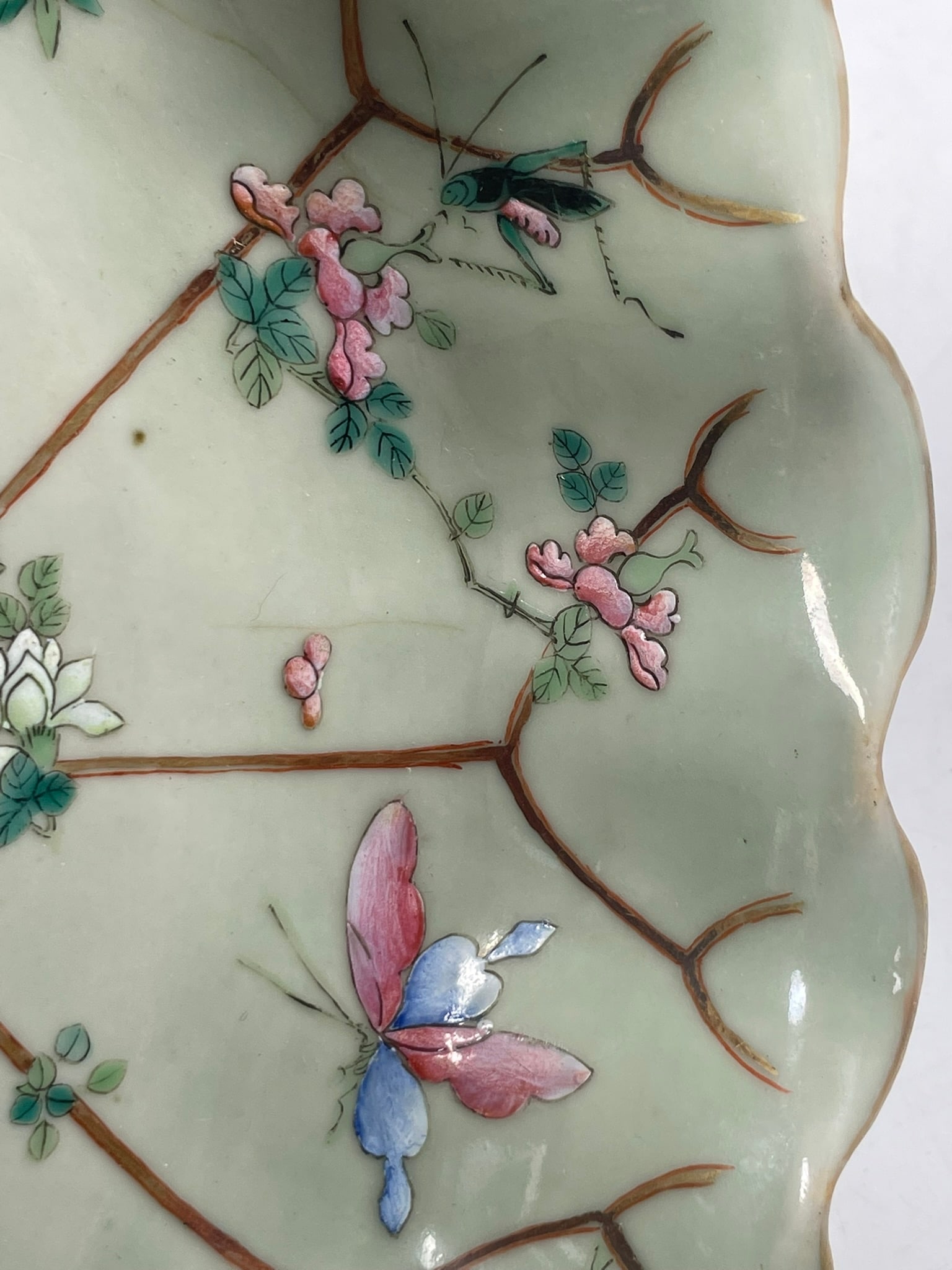 A Chinese Famille Rose Celadon-Glazed 'Butterfly and Flower' Porcelain Oval Bowl, Qing Dynasty - 12