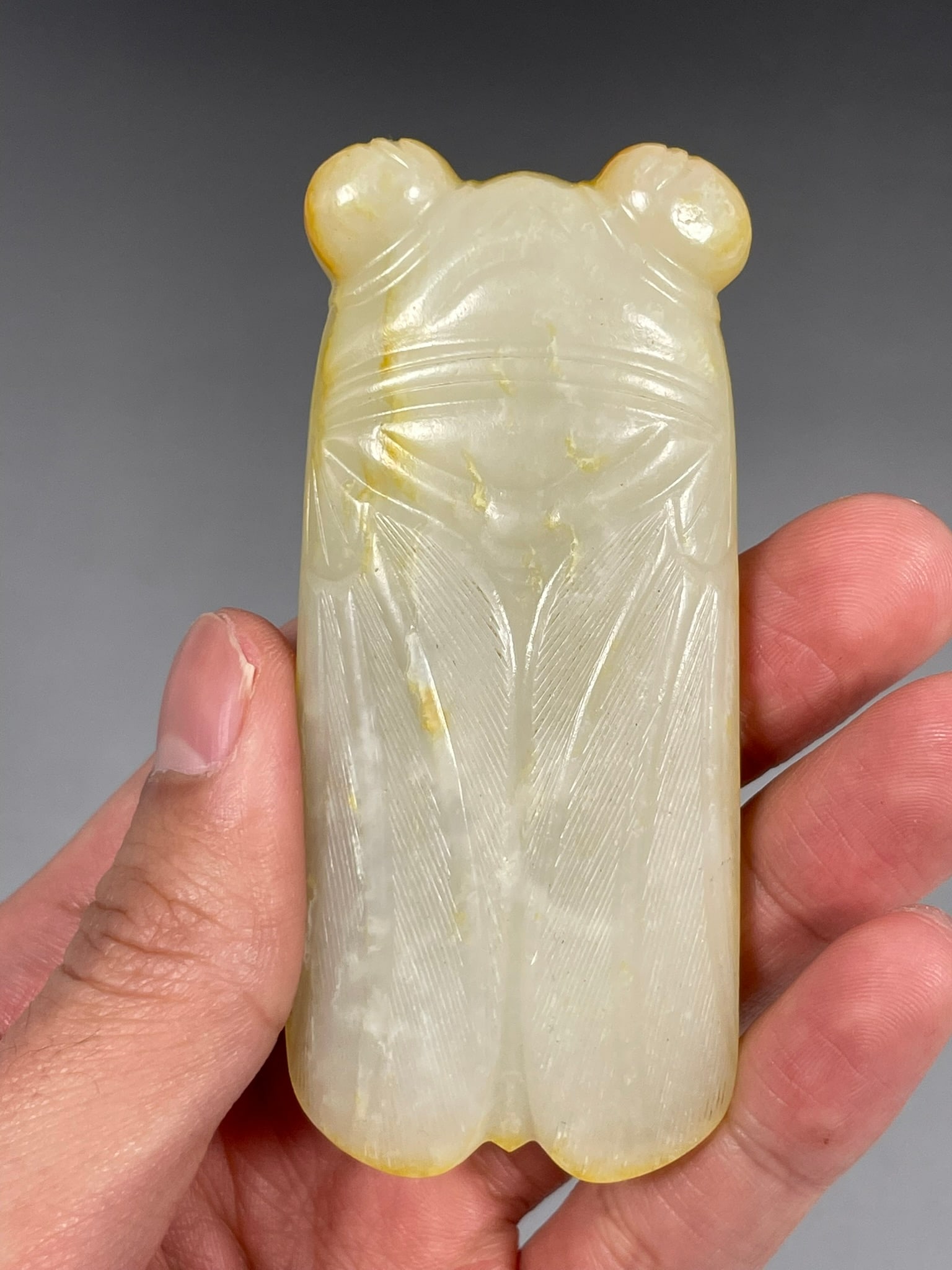 A Chinese White and Russet Jade Carving of Cicada - 8