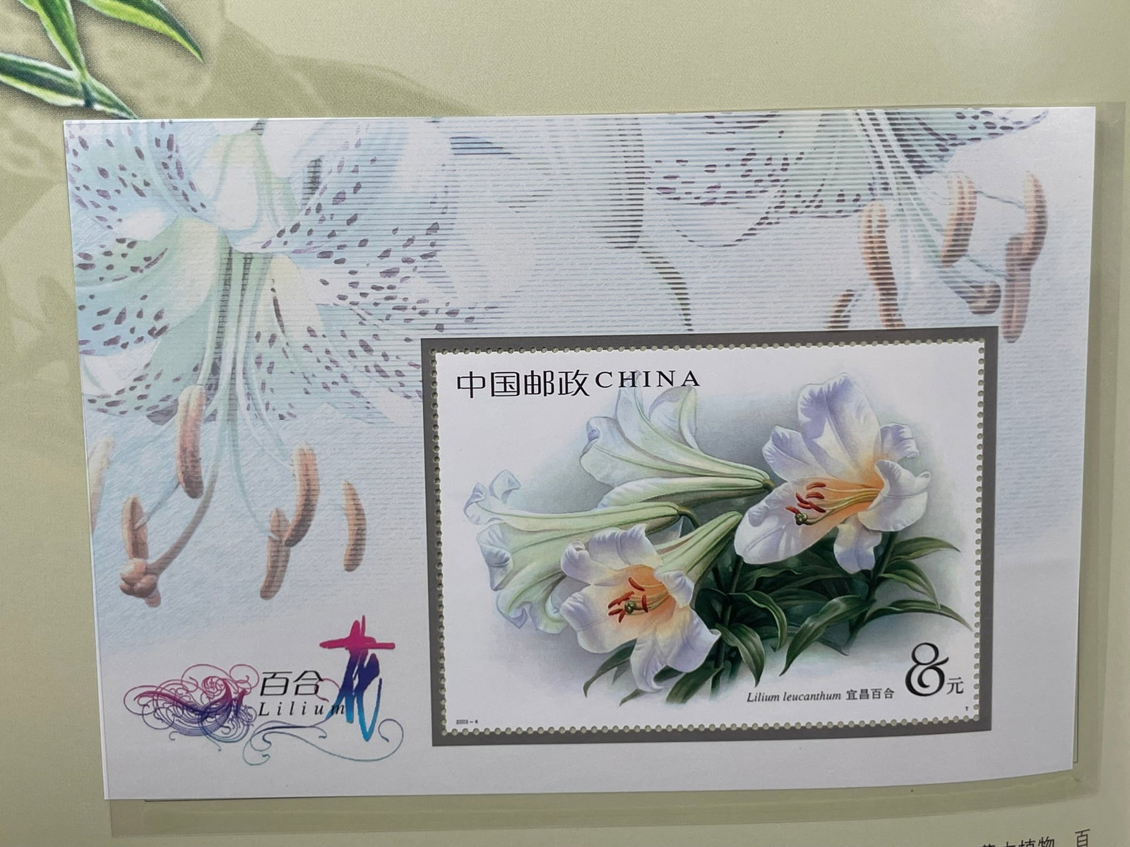 Two Albums of Stamps and Bank Note - 13