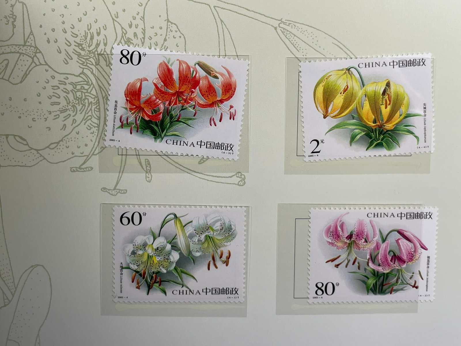 Two Albums of Stamps and Bank Note - 14
